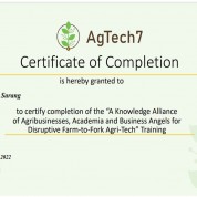 Sohail Certificate Of Completion